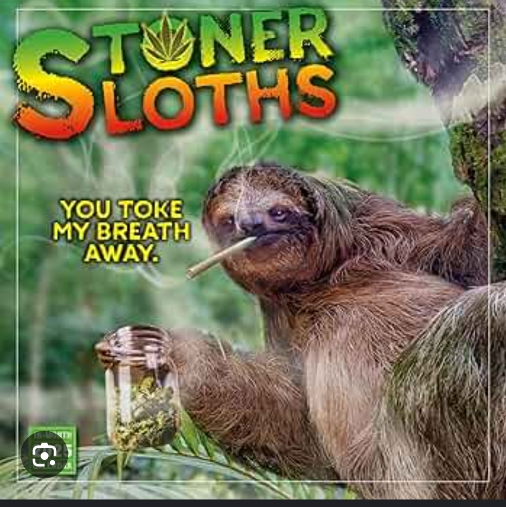 Stoner, sloths, 16 month, 2025calendar